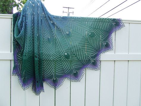 Peacock Shawl Peacock Shawl, Crochet Peacock, Feather Shawl, Peacock Crochet, Advanced Knitting, Crochet Lace Shawl, Crochet Shawls And Wraps, Crochet Shawls, The Dancer