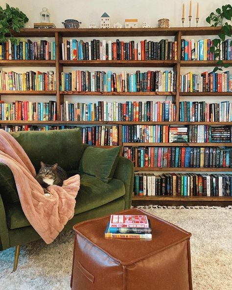 Library Room Aesthetic, Tiny Library Room, Cozy Reading Area, Library Cat, Cozy Home Library, Tiny Library, Abandoned Homes, Library Inspiration, Dream Library