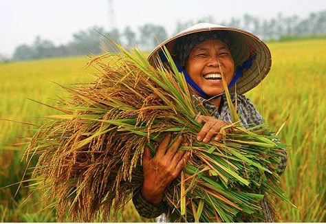 beautiful face Agriculture Pictures, Agriculture Photography, Philippine Art, Painting Competition, Geometric Design Art, Smile Photography, Photo Editing Tutorial, Love Culture, Village Life