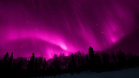 The northern lights are beloved by both scientists and casual viewers alike. Here's how a hole in the planet's magnetic field caused a rare pink aurora. Pink Northern Lights, Pink Aurora, Earth's Magnetic Field, Geomagnetic Storm, Aurora Borealis Northern Lights, Old Farmers Almanac, Earth Surface, Aesthetic Nature, The Northern Lights