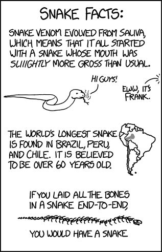 Biologically speaking, what we call a 'snake' is actually a human digestive tract which has escaped from its host. Snake Comic, Facts About Snakes, Randall Munroe, Snakes Funny, Snake Facts, Danger Noodles, Cool Snakes, Stim Board, Long Snake