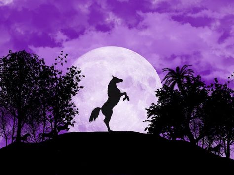 horse in the purple moonset Aesthetic Horse, Purple Horse, Chopped And Screwed, Purple Painting, Background Photos, Purple Trees, Watercolor Art Lessons, Black Horse, Soft Purple