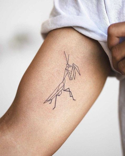 30+ Grasshopper Tattoos with Meanings 32 Geometric Insect Tattoo, Mantis Tattoo Design, Grasshopper Tattoo, Praying Mantis Tattoo, Mantis Tattoo, Related Tattoos, Cage Tattoos, Simple Tattoos For Guys, Belly Tattoos