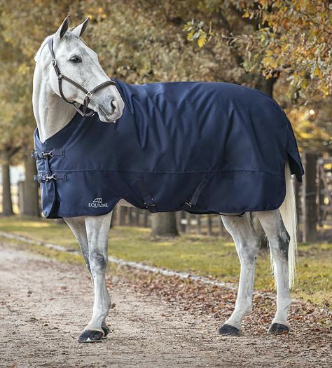 Waterproof horse blanket, perfect for turnout or in the stable. FABRIC 1200D windproof and waterproof polyester breathable outer. Internal lining with antiallergenic and antibacterial Swiss cotton and polyester fabric and padded with 200g of breathable wadding. Shine enhancing polyester lining. FEATURES Adjustable frontal closure and crossed surcingle for ensure the perfect fit. Hood Loops Leg arches Horse Neck Cover available separately. (A11175 Berenice) Horse Blanket, Neck Cover, Frontal Closure, Horse Blankets, New Caledonia, Solomon Islands, Congo Kinshasa, British Indian Ocean Territory, Indian Ocean