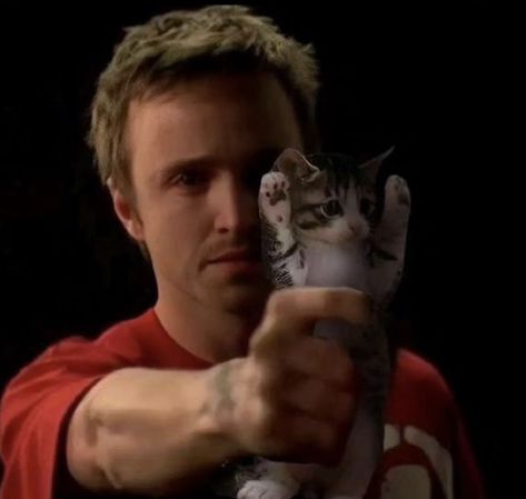 Jesse Pinkman Funny, Breaking Bad Meme, Person Icons, Breaking Bad Funny, Breaking Bad 3, Breaking Bad Jesse, Aaron Paul, Silly Cats Pictures, Bad Cats