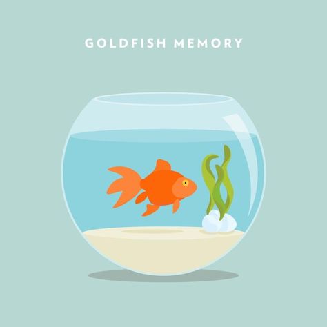 Fish Bowl Drawing, Bowl Drawing, Bowl Illustration, Goldfish Bowl, Drawn Fish, Animal Icon, Pet Fish, Fish Bowl, First Place