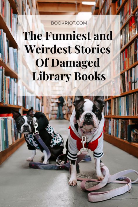 Library Book Return, Book Return, Librarian Humor, School Library Lessons, Library Humor, Books To Read Before You Die, Dog Training Books, Summer Reading Program, Library Lessons