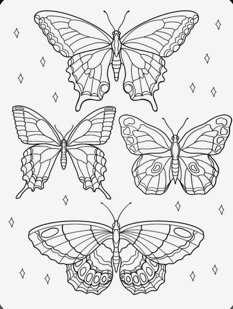 Butterfly Line Art Tattoo, Butterfly Flash Tattoo, Butterfly Tattoo Drawing, Cat Kingston, Kingston Tattoo, Butterfly Drawing Outline, Line Art Butterfly, Butterfly Line Art, Butterfly Outline