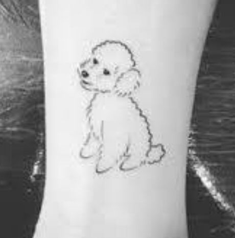 Toy Poodle Tattoo, Poodle Tattoo, Draw Tattoo, French Poodles, Toy Poodle, Tattoo Inspo, Tatting, Tattoo Ideas, Tattoos