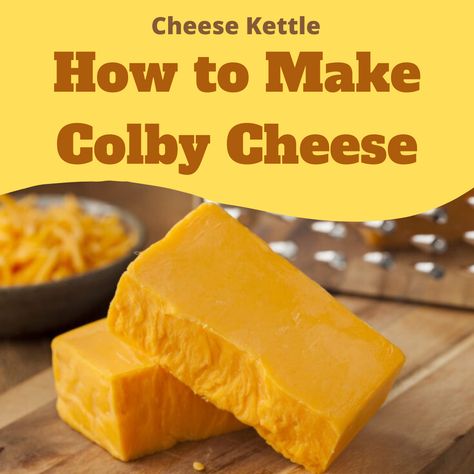 Colby Cheese Recipes, Camembert Recipes, Cheese Wax, Cheese Recipes Homemade, Curd Cheese, Farmer’s Cheese, Cheese Making Recipes, Colby Cheese, Cheese Maker