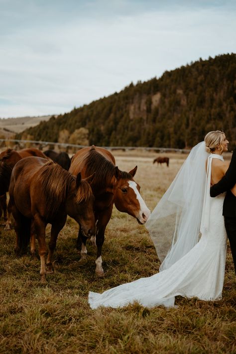 The Ranch at Rock Creek elopement with stunning views of Montana, horses nibbling at a wedding dress, and a private first dance & dinner. Elegant Western wedding Private First Dance, Elegant Western Wedding, Montana Western, Montana Bride, Wyoming Weddings, Jackson Hole Wedding, Cowgirl Wedding, Nancy Meyers, Montana Wedding