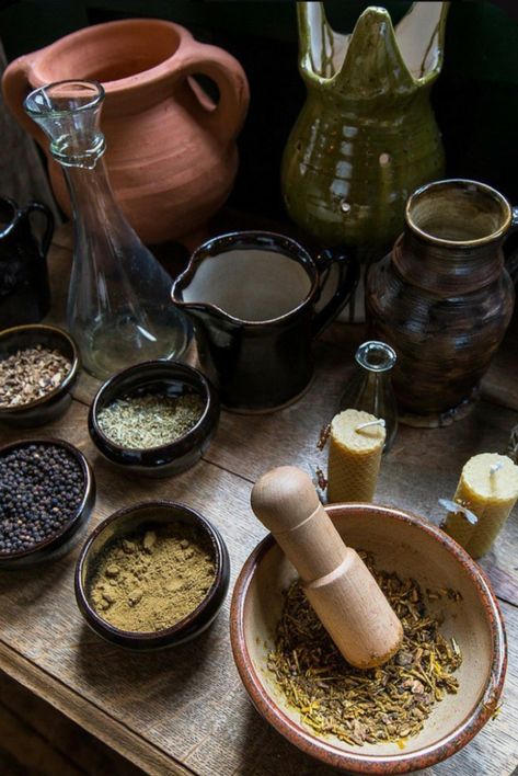 Healer Aesthetic, Allergy Remedies, Yennefer Of Vengerberg, Herbal Healing, Herbal Magic, Healing Herbs, Medicinal Herbs, Spice Blends, Herbal Medicine