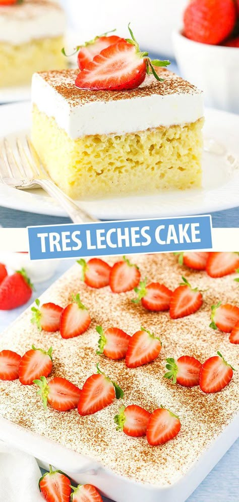 Tres Leches Cake Recipe Authentic, Traditional Mexican Desserts, Three Milk Cake, Mexican Cake, Leche Cake, Tres Leches Cake Recipe, Mexican Desserts, Mexican Dessert Recipes, Light Cakes