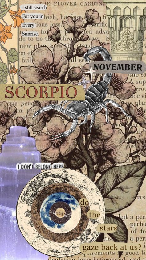 Scorpio Mood Board, Scorpio Zodiac Wallpaper, Scorpio Wallpaper Aesthetic, Scorpio Collage, Scorpio + Core + Aesthetic, Scorpio Core, Scorpio Wallpaper, November Flowers, November Scorpio