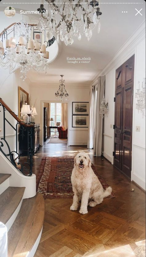 Cotswolds Farmhouse, Blue Doors, Blue Door, Dream Houses, Office Room, Personal Space, Design Living, Northern California, Interior Design Living Room