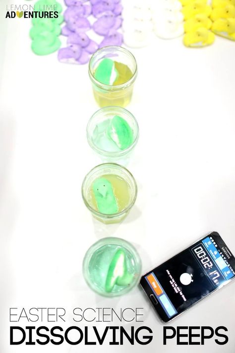 Dissolving Peeps | Simple Easter Science Experiment Easter Cooking Ideas, Science Prek, Science Fair Display Board, Easter Science Experiments, Spring Science Experiments, Passover Activities, Easter Science, Spring Science, Prek Activities