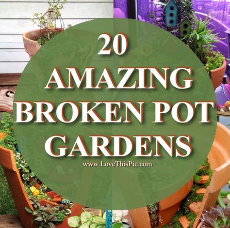 Thinking of throwing away that broken garden pot?  Well think again!  Turn that broken garden pot into a beautiful garden accent with one of the diy garden pot crafts, garden creative diy gardening do it yourself crafty garden ideas diy garden garden crafts garden pots broken pot garden Broken Pot Garden, Garden Ideas Diy, Terra Cotta Pots Garden, Fairy Garden Pots, Teacup Gardens, Front Garden Design, Tiered Garden, Pot Crafts, Pot Ideas