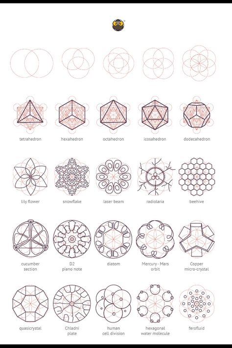 Sacred Geometry Magic Geometry, Scared Geometry, Geometry In Nature, Nature Elements, Sacred Geometry Symbols, Sacred Geometric, Platonic Solid, Quilt Modernen, Sacred Geometry Art