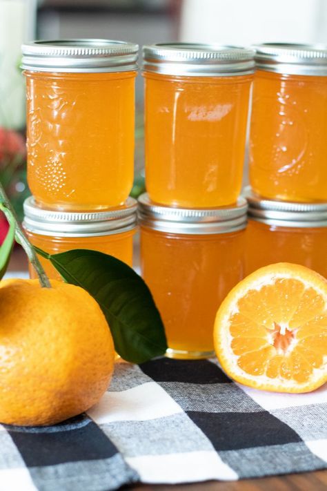 This flavorful homemade Satsuma Jelly recipe makes the perfect sweet and tangy citrus condiment perfect to serve with biscuits, toast, crackers, and a variety of foods. Canning Satsuma Oranges, Satsuma Jelly Recipes, Satsuma Marmalade Recipes, Satsuma Pepper Jelly Recipe, Satsuma Jam Recipe, Satsuma Jelly, Orange Pepper Jelly, Orange Jelly Recipe, Satsuma Recipes