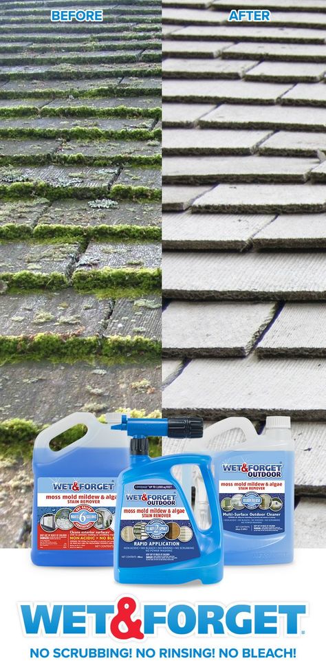 Clean up roof moss with your feet firmly planted on the ground! The new Wet & Forget Hose End product can reach up to 30 feet high. Simply spray Wet & Forget, and let Mother Nature do the work for you! Mold And Mildew Remover, Homemade Toilet Cleaner, Clean Hacks, Mildew Remover, Cleaning Painted Walls, Outdoor Cleaning, Roof Cleaning, Glass Cooktop, Deep Cleaning Tips