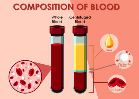 Bank Poster, Essential Thrombocythemia, Medical Assistant Student, Blood Components, Blood Plasma, Vet Medicine, Medical Laboratory Science, Blood Bank, Normal Blood Pressure