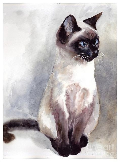 Scary Cake, Siamese Kitten, Siamese Kittens, Cat Artwork, Watercolor Cat, Arte Animal, Cat Painting, Siamese Cats, Cat Illustration