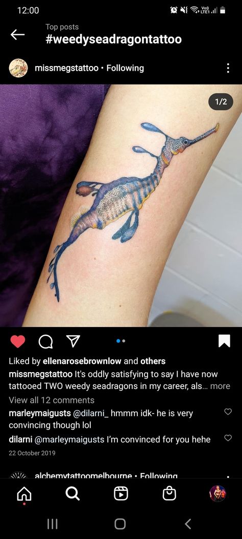 Weedy Sea Dragon Tattoo, Sea Dragon Tattoo, Dragon Tattoo Images, Weedy Sea Dragon, Sea Dragon, Dragon Tattoo, Body Mods, Tattoo Images, Watercolor Tattoo