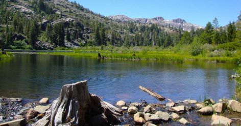 Tahoe Trip, Camp Lake, Forest Cottage, Camping Sites, Horse Trail, Fall Getaways, Rv Hacks, Water Skiing, Early Fall