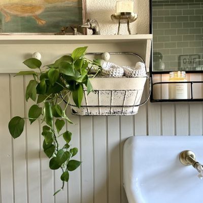 THE COLLECTED COTTAGE | Shop Sales Events Antique Farmhouse Pulley Decor, Kitchen Antique, Bucket Planters, Metal Tub, Classic Window, Aging Metal, Vintage Basket, Wooden Wall Shelves, Metal Display