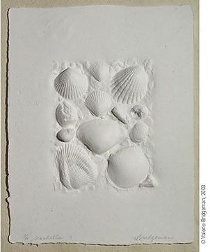 Paper Shells, Embossed Paper Art, Cast Paper, Paper Casting, Creative Art Activities, Paper Cut Artists, Paper Pulp, Stoney Creek, Paper Making