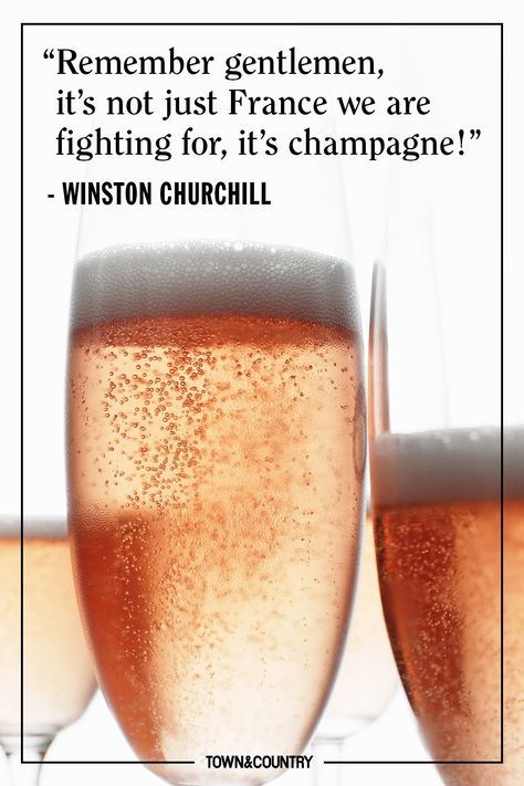 Churchill paid attention to details.... Champagne Quote, Over Indulgence, Legendary Quotes, Champagne Tasting, Champagne Quotes, Roaring Twenties Party, Champagne Campaign, Best Champagne, Pop Fizz Clink