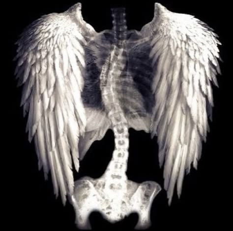 An Angel, Angel Wings, Skeleton, Angel, White, Instagram, Black