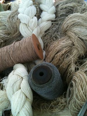 Natural Fiber: Flax, one of the strongest vegetables fibres, flax was also one of the fisrt to be harvested , spun and woven into textiles.  P.S. "Linen is made from ﬂax, a traditional ﬁbre crop which needs few chemical fertilisers, and less pesticide than cotton." Living In France, Spinning Wool, Spinning Yarn, Yarn Thread, Spinning Fiber, Plant Fibres, Spinning Wheel, Handspun Yarn, Pure Linen