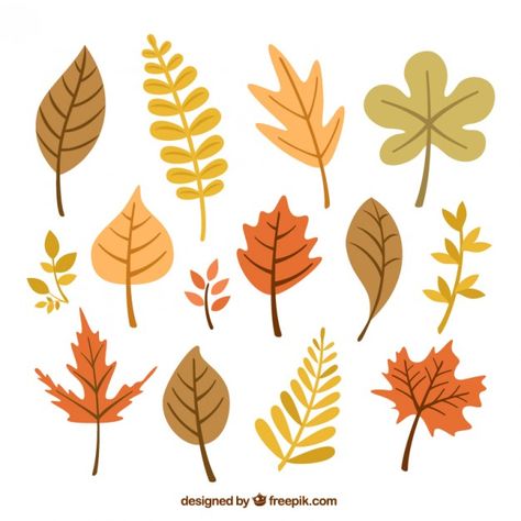 Autumnal leaves collection Art Leaves, Penanda Buku, Autumn Tree, Leaf Drawing, Tree Illustration, Tree Drawing, Bullet Journal Doodles, Plant Illustration, Fall Design