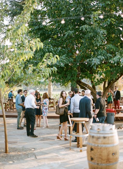 Wedding Weekend Activities, Weekend Vacation Ideas, Wedding Weekend Events, Grape Stomping, Small Wedding Party, Welcome Dinner, Trip Destinations, Events Photography, Weekend Activities