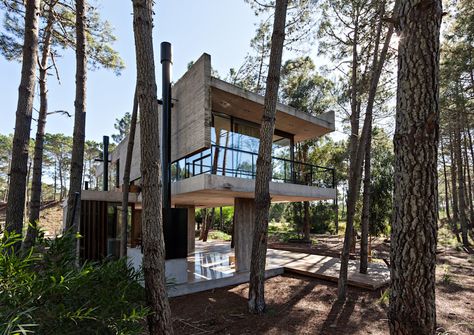 Casa Marino Architecture Cool, Pine Trees Forest, Concrete House, Urban Architecture, House Goals, Built Environment, Green Building, Contemporary Architecture, House In The Woods