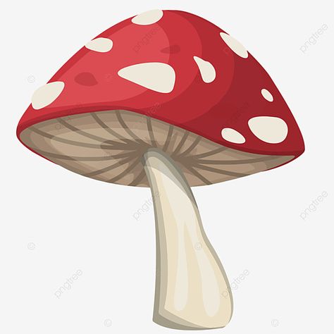 Red And White Mushrooms, Spotted Mushroom, Mushroom Clipart, Red And White Mushroom, Valentines Day Drawing, Mushroom Images, Cartoon Mushroom, Mushroom Paint, Mushroom Wallpaper