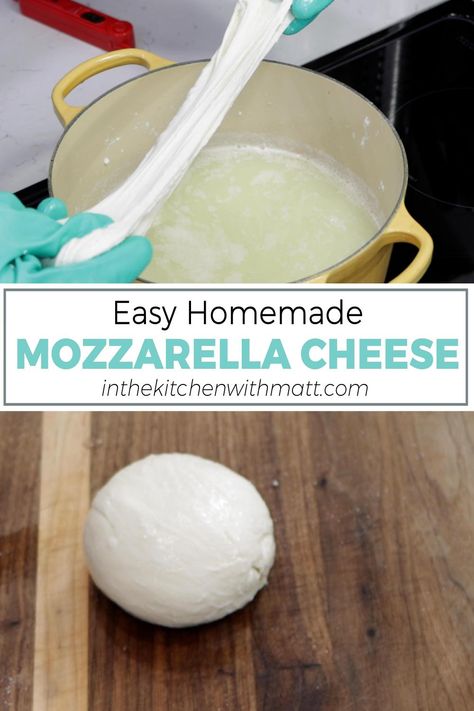 Easy Homemade Mozzarella, Salad Mozzarella, Mozzarella Cheese Recipe, Homemade Cheeses, Make Mozzarella Cheese, Homemade Mozzarella Cheese, Recipes With Mozzarella Cheese, Homemade Mozzarella, Easy No Bake Cheesecake