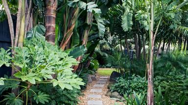 A resort inspired tropical garden is the perfect city escape Garden Design Tropical, Small Tropical Garden Ideas, Landscaping Tropical, Hammock Area, Subtropical Garden, Slope Garden, Tropical Garden Plants, Tropical Backyard Landscaping, Stone Garden Paths