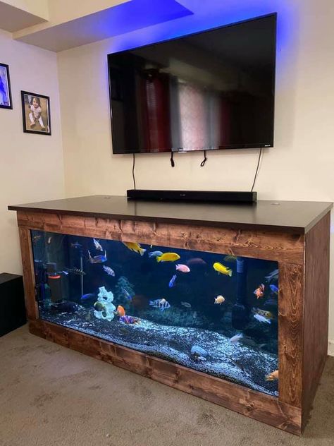 Living Room Aquarium Ideas, Tv Unit With Aquarium Design, Aquarium Under Tv, Aquarium Room, Media Walls, Under Tv, Wood Panelling, Salt Water Fish, Aquarium Design