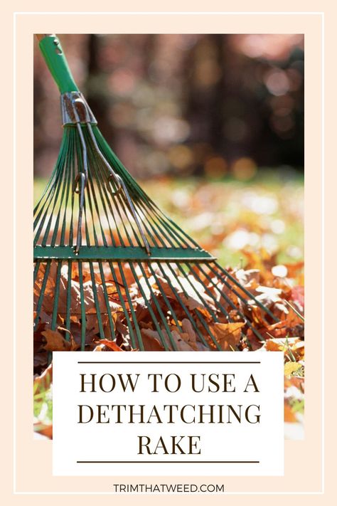 Have a new dethatching rake? Wondering the best way to use it? Just want to get that yard cleaned up fast. We have the best tips on how to use your dethatching rake. #outdoorliving #cleanyard #fall #leaves Winter Lawn Care, Jonathan Green, Lawn Mower Repair, Homeowner Tips, Raking Leaves, Types Of Grass, Yard Care, Lawn Maintenance, Be Amazing