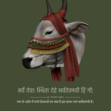 Cow Quotes Hindi, Sanskrit Quotes With Meaning In Hindi, Hindu Dharma Quotes In Hindi, Gopashtami Wishes, Hindu Mantras In Hindi, God Photos Hindu, Sanatan Quotes, Cows Quotes, Datta Guru