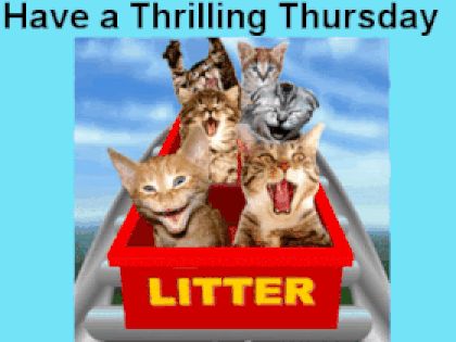 Happy Thursday Gif, Thrilling Thursday, Thursday Gif, Butterfly Gif, Morning Thursday, Good Morning Happy Thursday, Reflection Pictures, Week Quotes, Good Morning Thursday