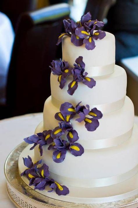 Iris Cake, Iris Wedding, Special Cakes, Cake Stuff, Decorated Cakes, Let Them Eat Cake, 50th Anniversary, Eat Cake, Cake Ideas