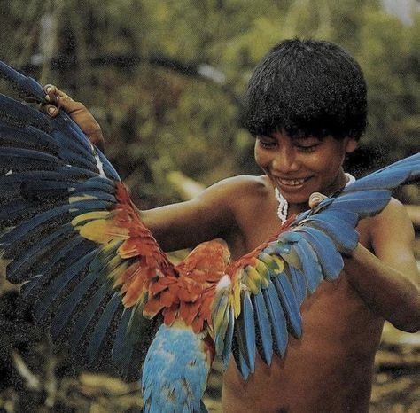 Ghost Fishing, Amazon Rain Forest, Tropical Rain Forest, Instagram Archive, Brazil Culture, Scarlet Macaw, Summer Aesthetic, South America, Scarlet