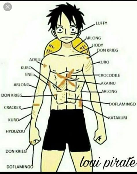 One Piece Drawing Luffy, Cp9 One Piece, Shin Nana, One Piece Quotes, Meme Joke, رورونوا زورو, One Piece Monkey D Luffy, One Piece Gif, One Piece Tattoos