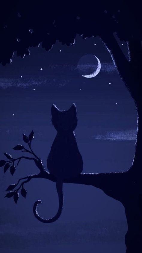 Chat Background, Wallpaper Gatos, Moon And Stars Wallpaper, Cat Phone Wallpaper, Pastel Sec, Night Sky Wallpaper, Wallpaper Nature Flowers, Cool Wallpapers Art, Like Comment Share