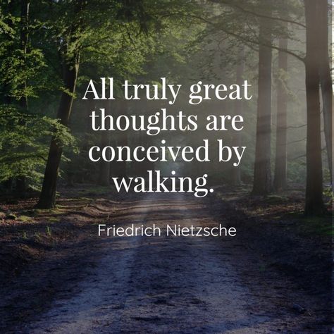 Quotes On Dreams, Reflective Essay, Walking Quotes, Essay Plan, Nietzsche Quotes, Essay Structure, Inspirational Smile Quotes, Persuasive Essay, Expository Writing