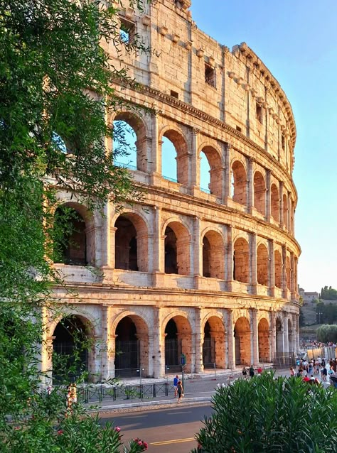 #roma #colosseum #italy Colloseum Rome Pictures, Greek Colosseum, Colloseum Italy, Colosseum Italy, Social Studies Project, Rome Italy Colosseum, Rome Colosseum, The Coliseum, Rome Photo