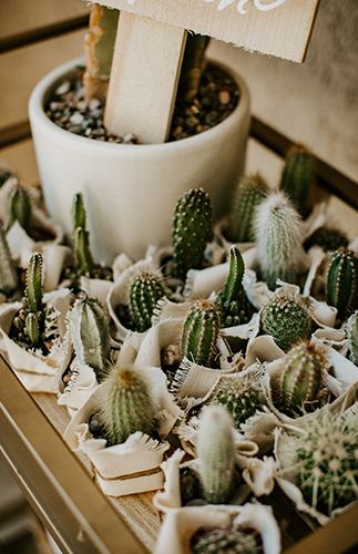 Sustainable Baby Shower Ideas, Southwestern Baby Shower Ideas, Boho Baby Boy Shower Ideas, Desert Baby Shower Theme, Boho Western Baby Shower Ideas, Southwestern Baby Shower, Cactus Bar, Boy Baby Showers, Boho Cactus